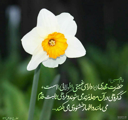 امام-زمان-موسسه-دوازدهم امام-زمان-موسسه-دوازدهم