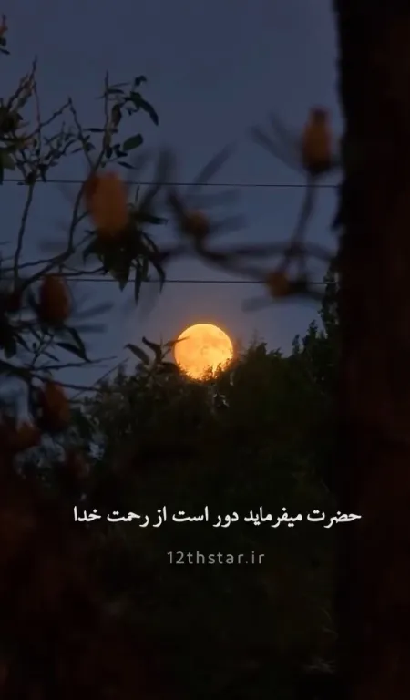 کلام امام عصر ارواحنا فداه